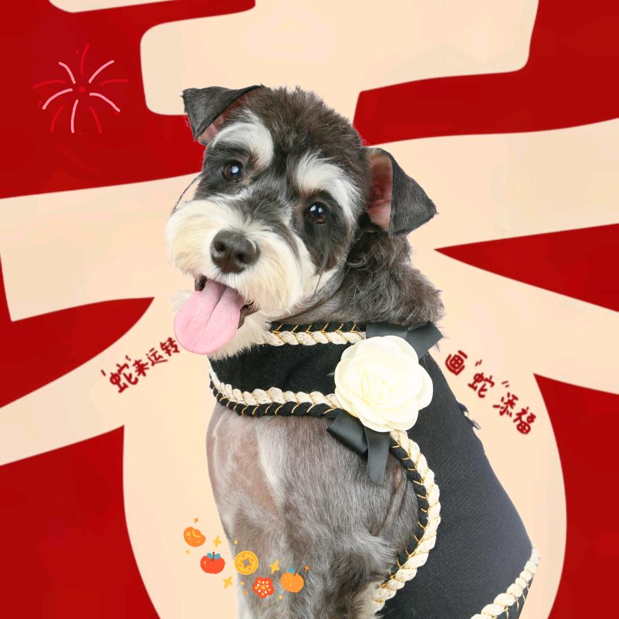 你的微笑很美啦