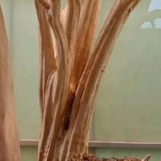 一江碧水