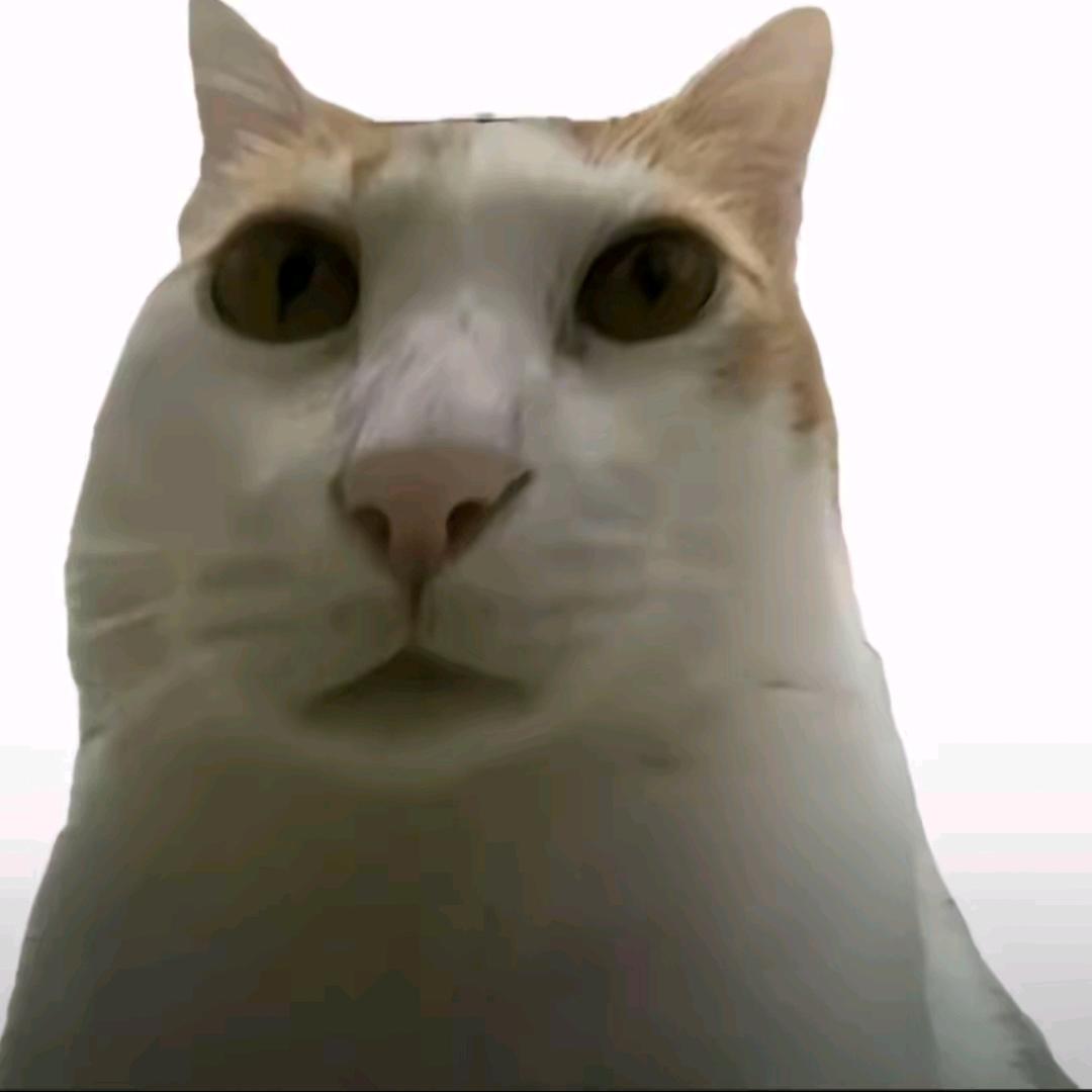 嘟嘟的嘟