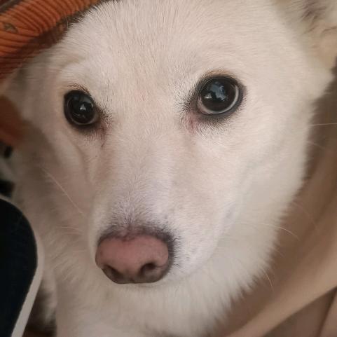 床头杂货铺