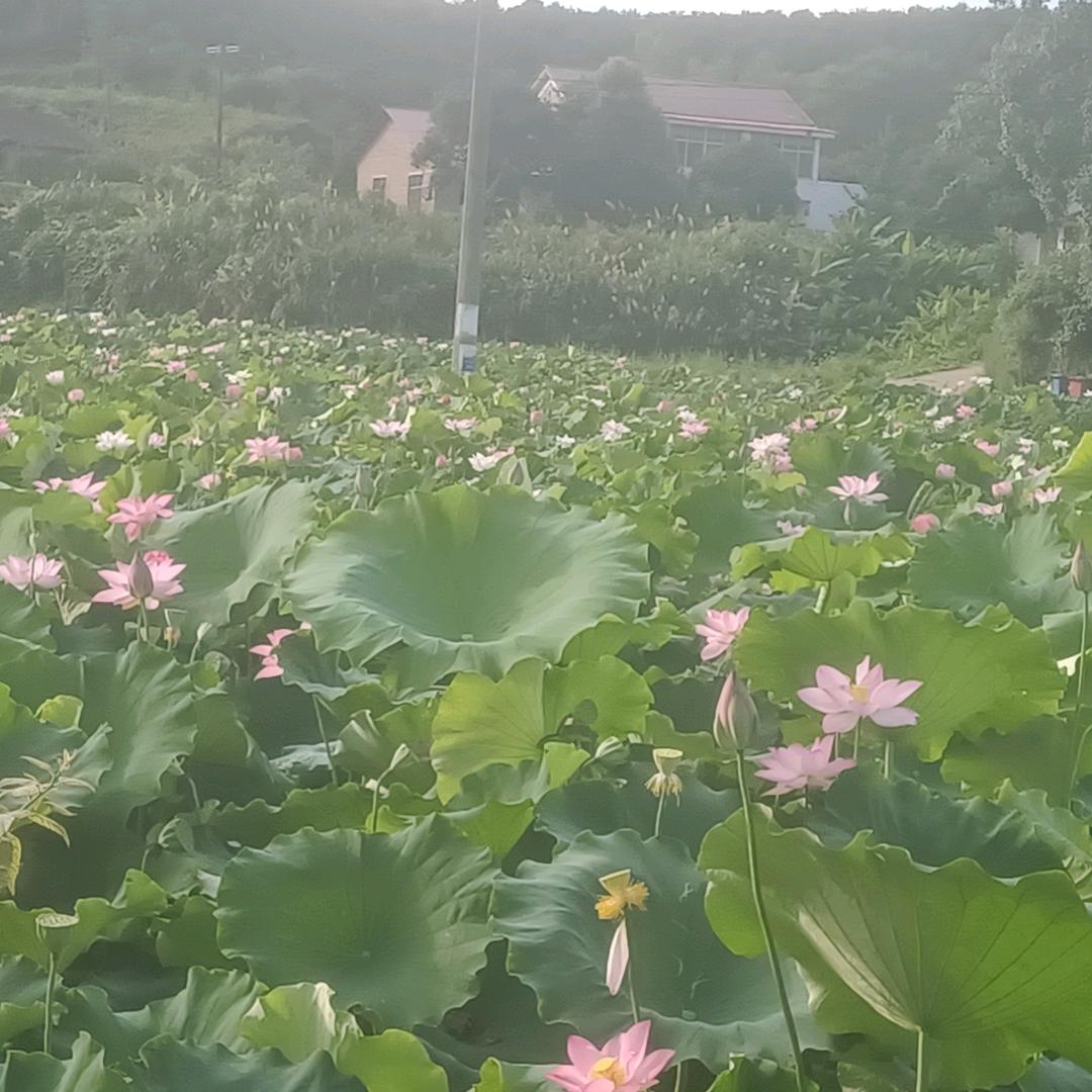 旧城不暖少年心