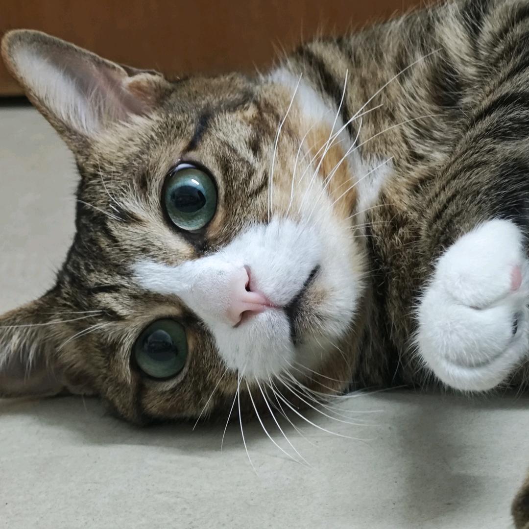 只剩夏天那抹忆