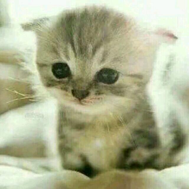 末路小鬼