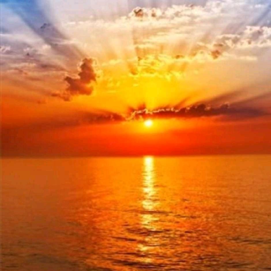 🍎🍎好运来🍎🍎🍎🍎🍎🍎