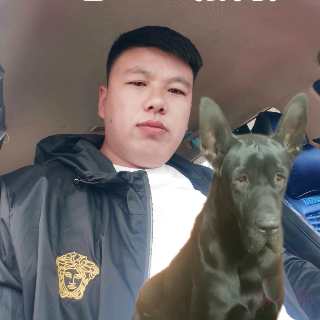 电工黑狼犬业