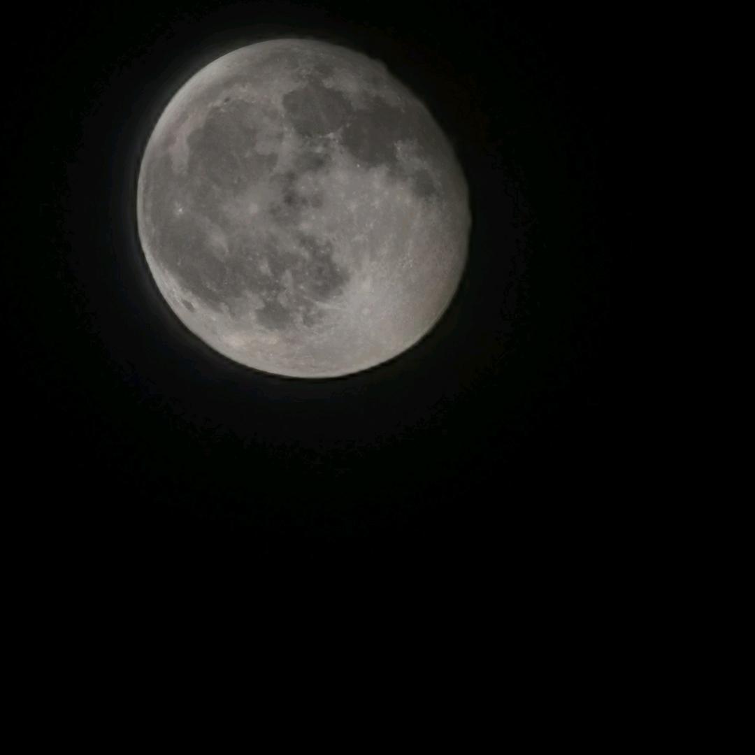 。。。。。。。