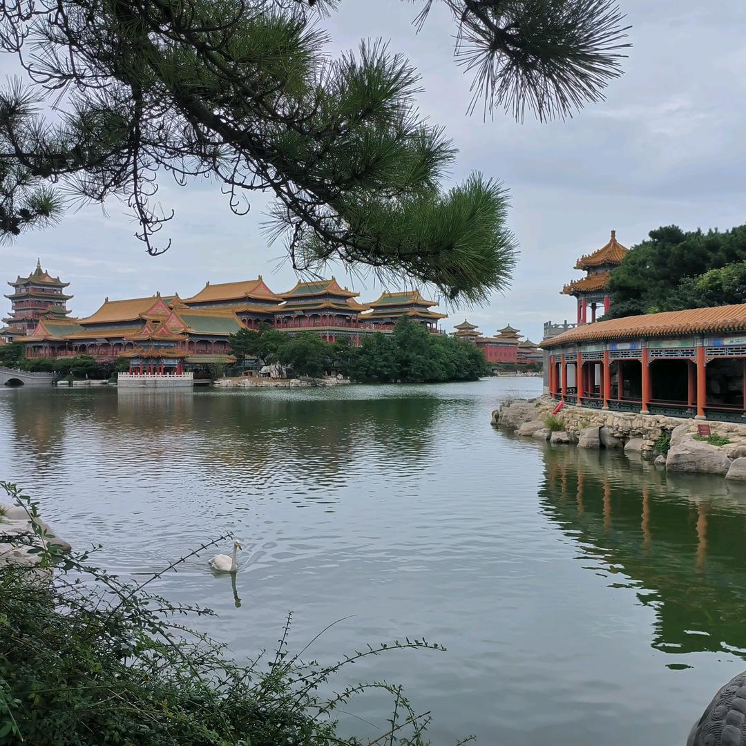 陌杨