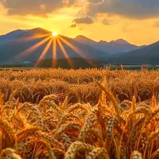 🦋এ᭄乡ꦿ姑💞ོ࿐ᩚ