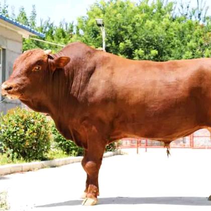 酸甜苦辣都要尝