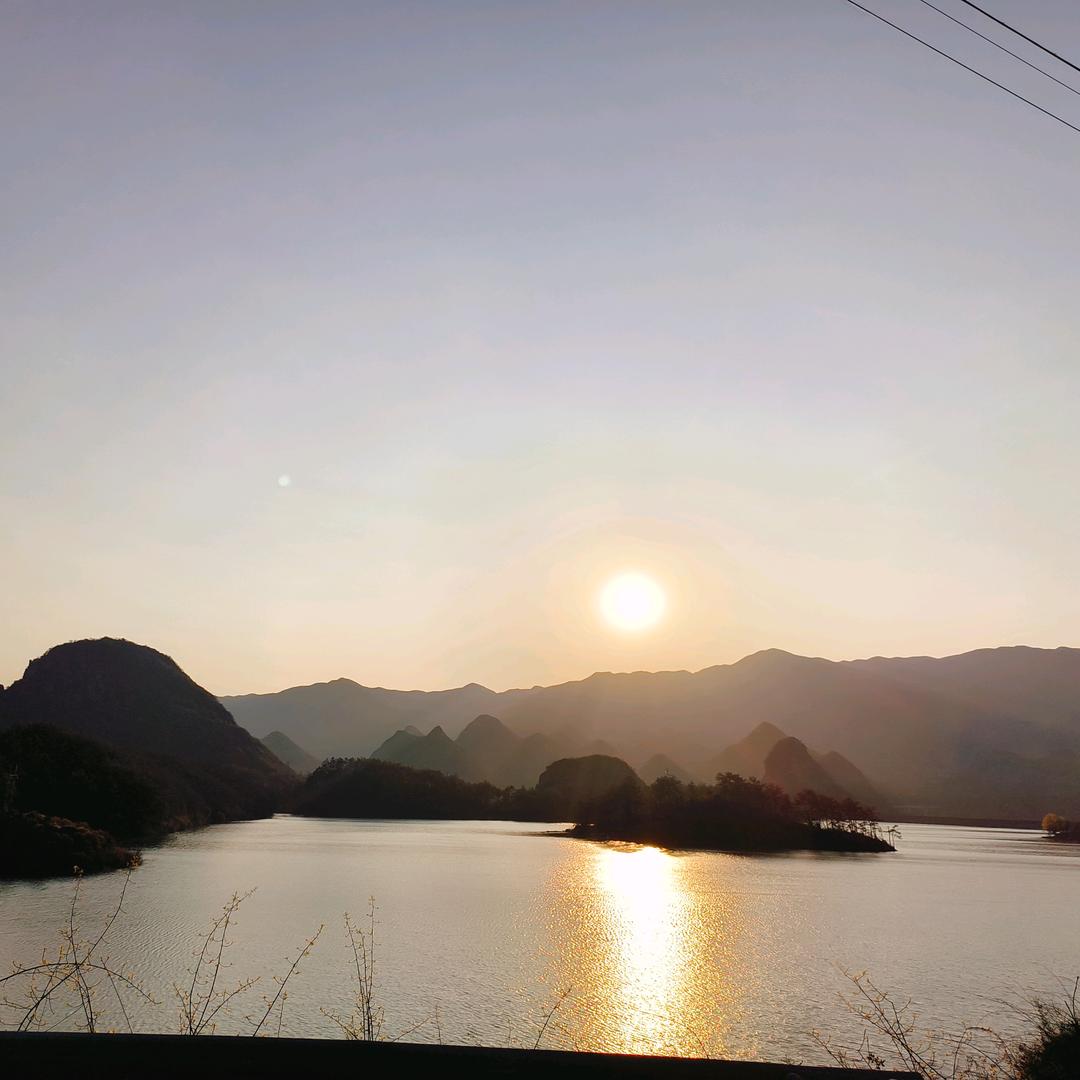 X@两只猫和平精英