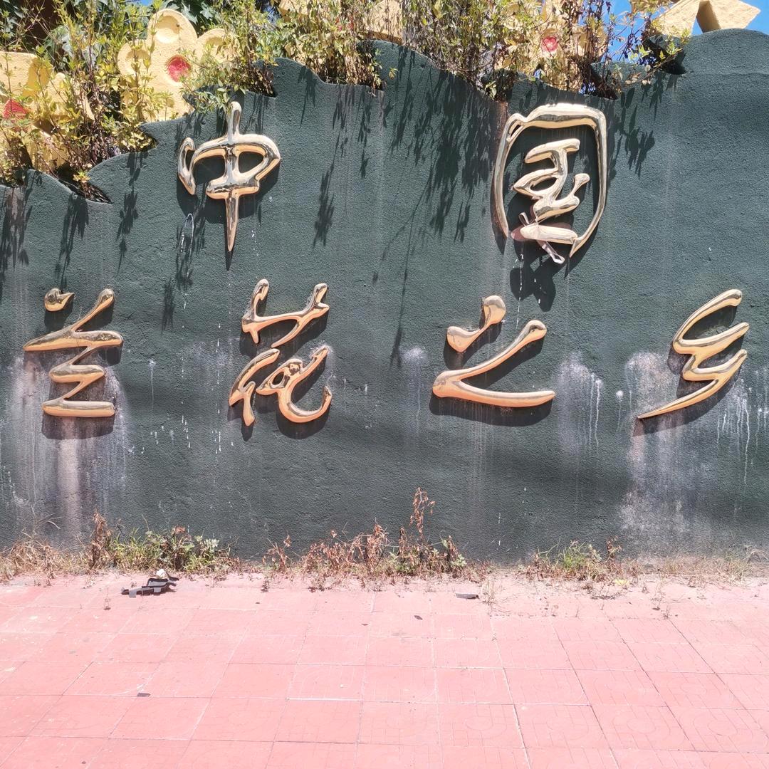 湾湾的农场日记