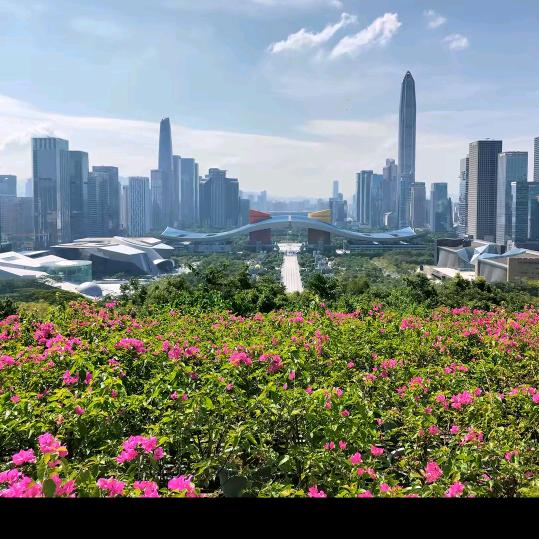 @执笔画流年