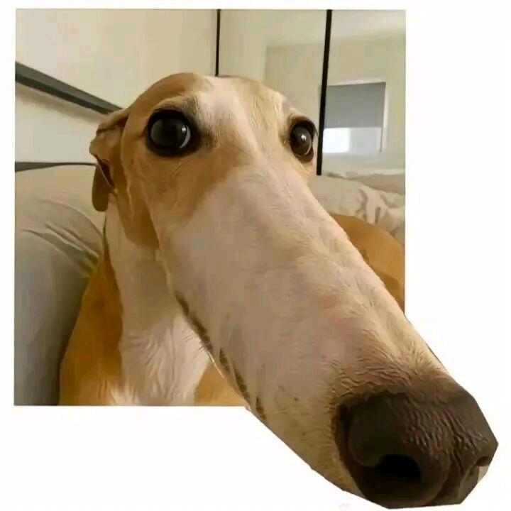 阿啵呲嘚（恩师刘思成）