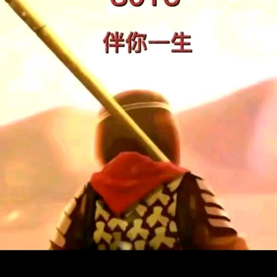 龙在飞
