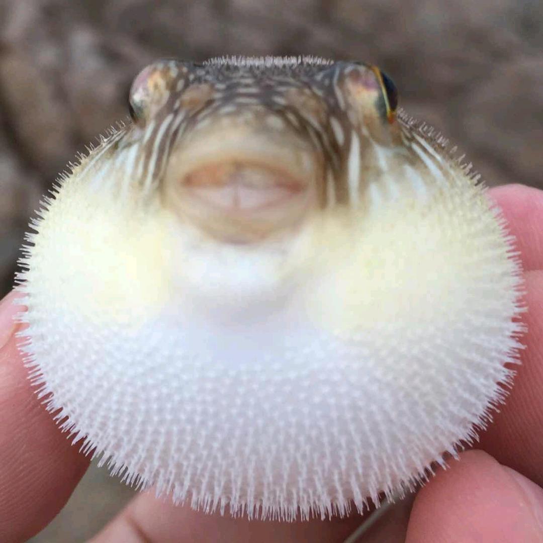 开心