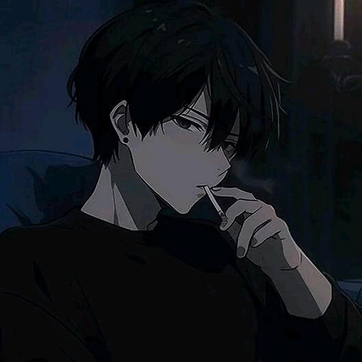 狐狸菜鸟（林树切片）