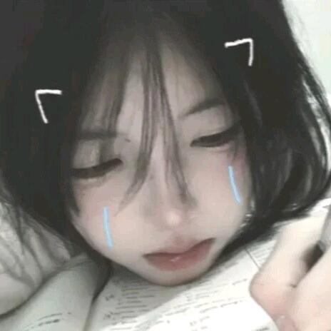 ʚ呆呆ɞ