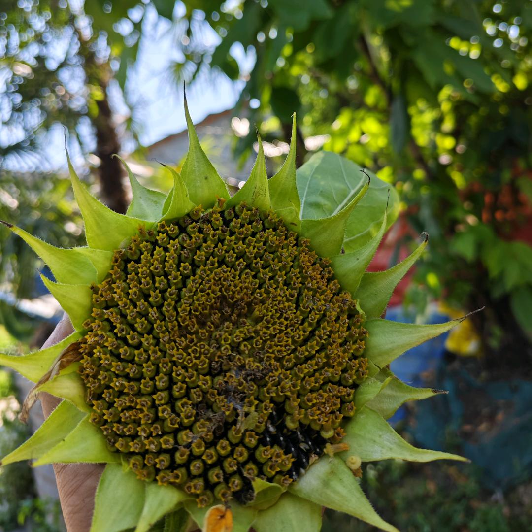 在哪里摔倒就在那里坐着玩