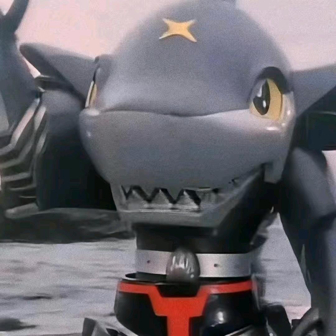 鲨鱼辣椒🌶🦈