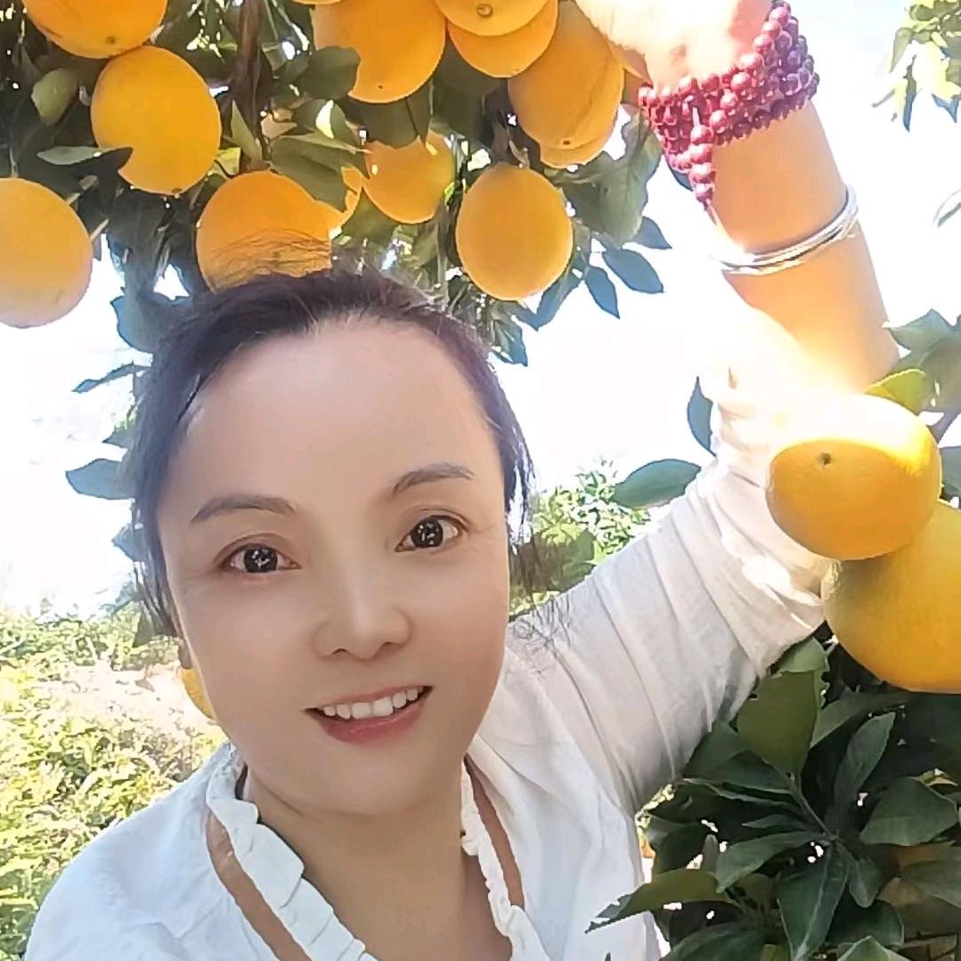 宁都莲香土特产