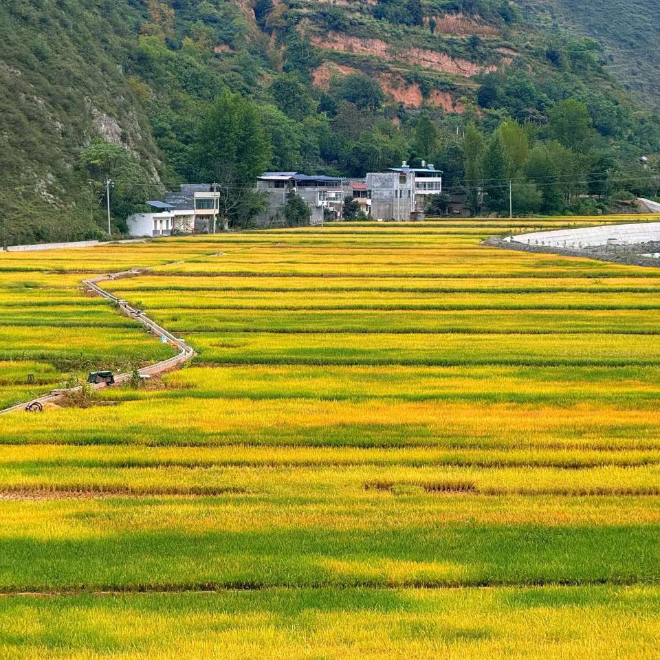 ღ᭄ꦿ꯭久遇꧔ꦿএ᭄💕（拒绝私聊）