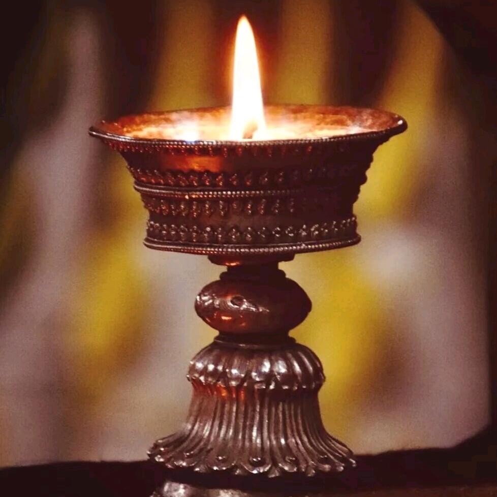 🌹 ～MeiZ～ 🌹