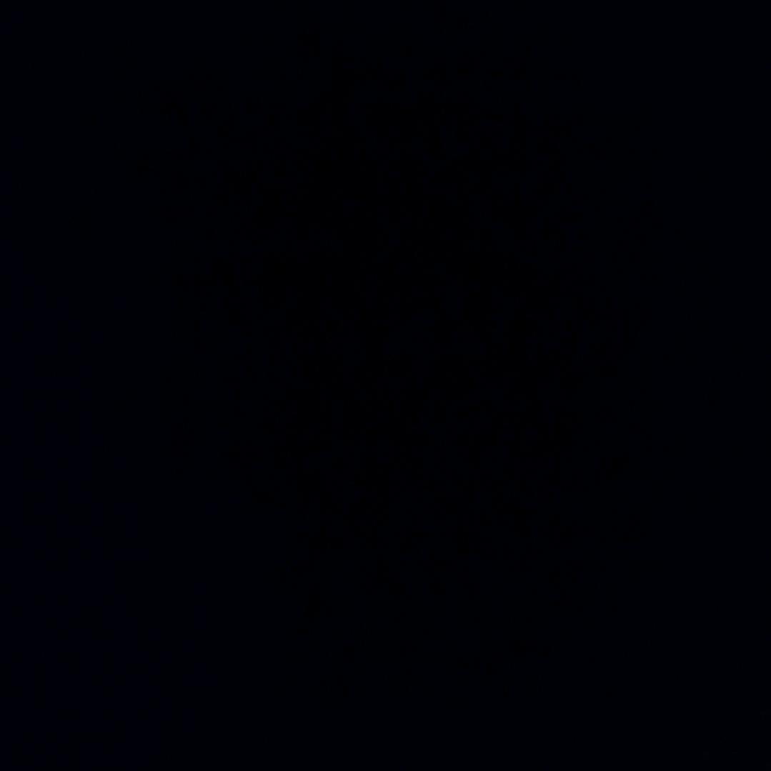 哥斯拉柴