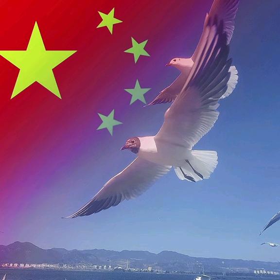 至净