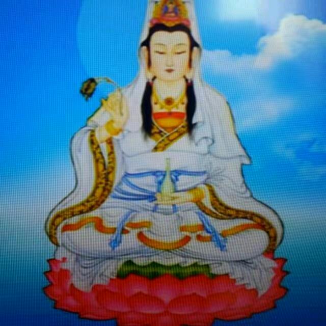 🌈邵荟人(筱淼)🐉