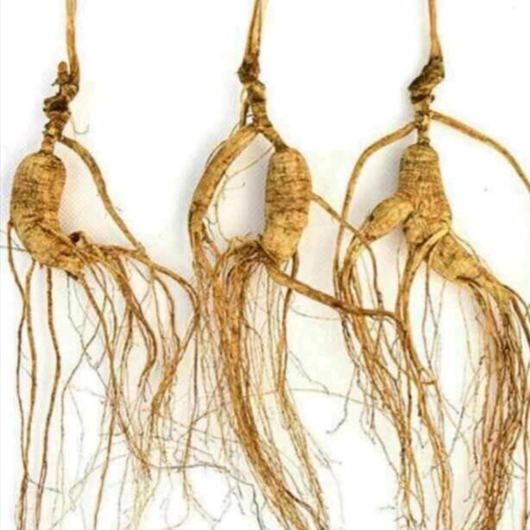 航帆御品堂日常好物