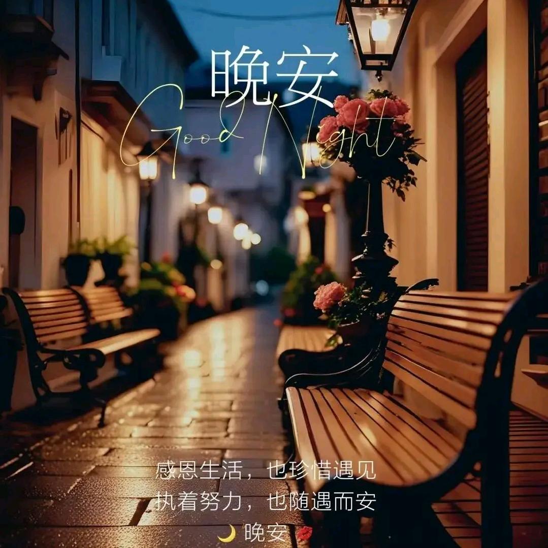 智商已欠费