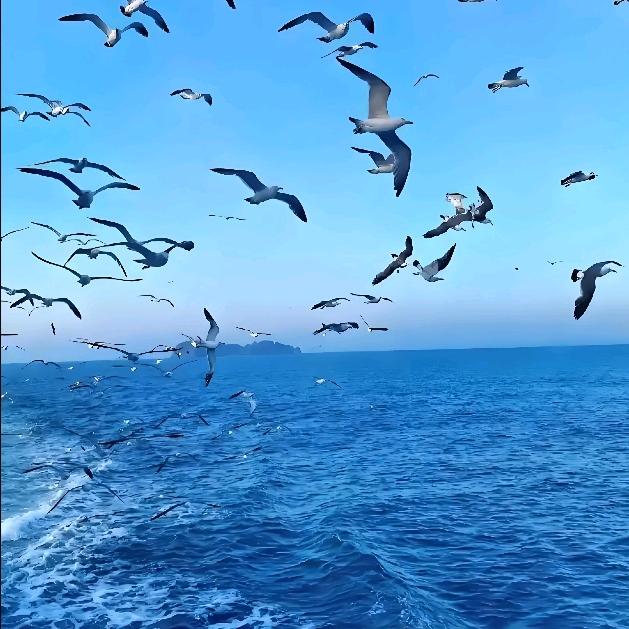 尊重别人就是尊重自己