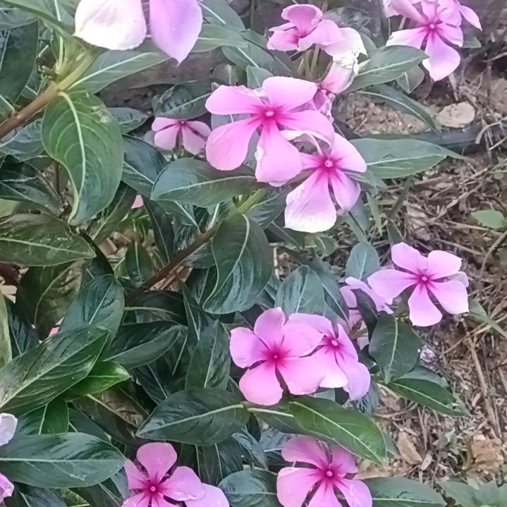 塒茪誋憶鈈嶶傷