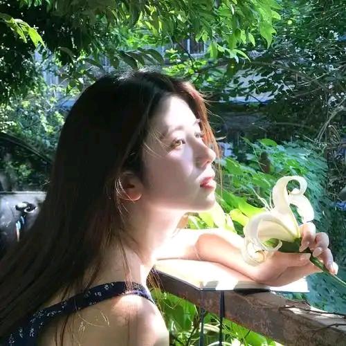 @❤️淡雅🇦🇹清风❤