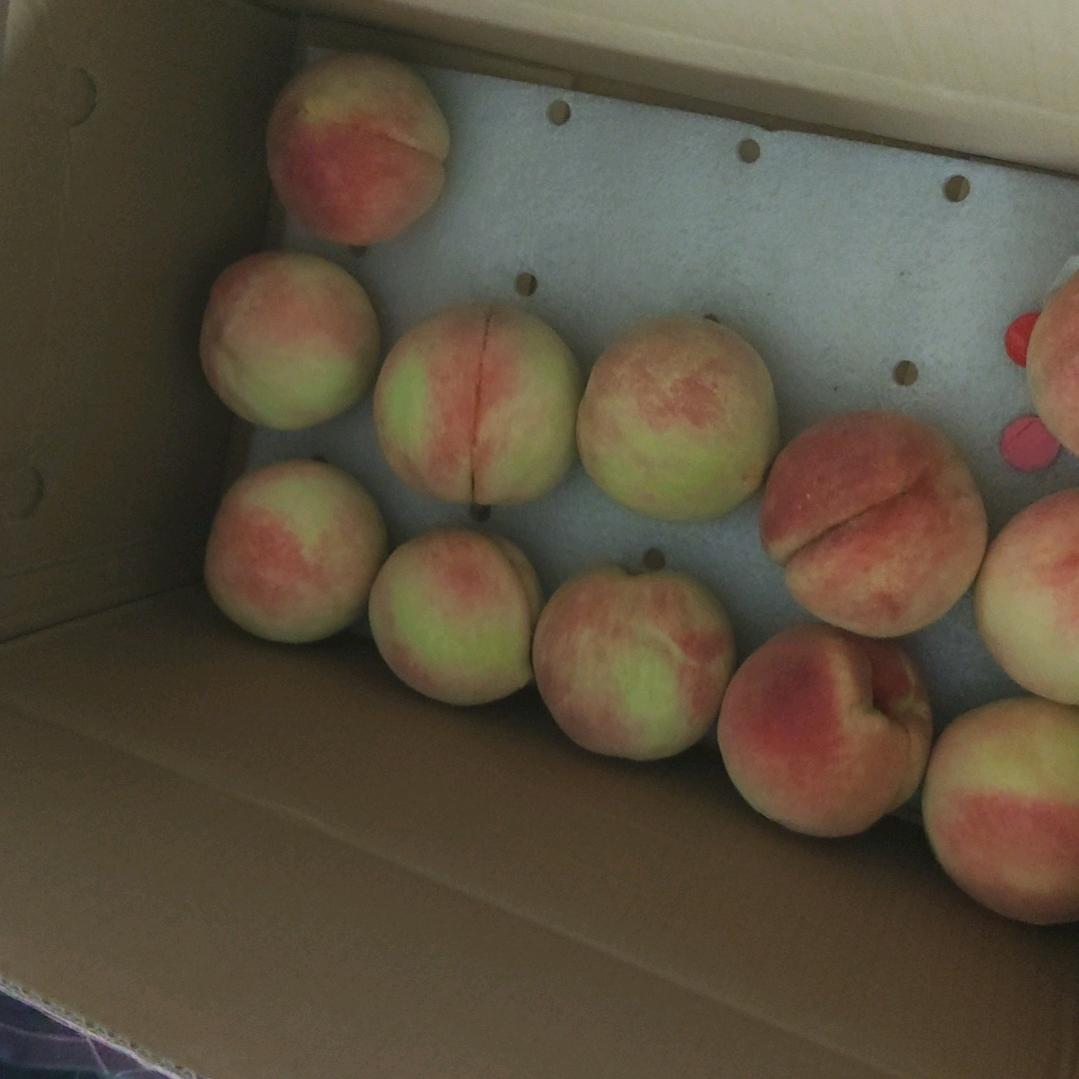 我在这里等你哈