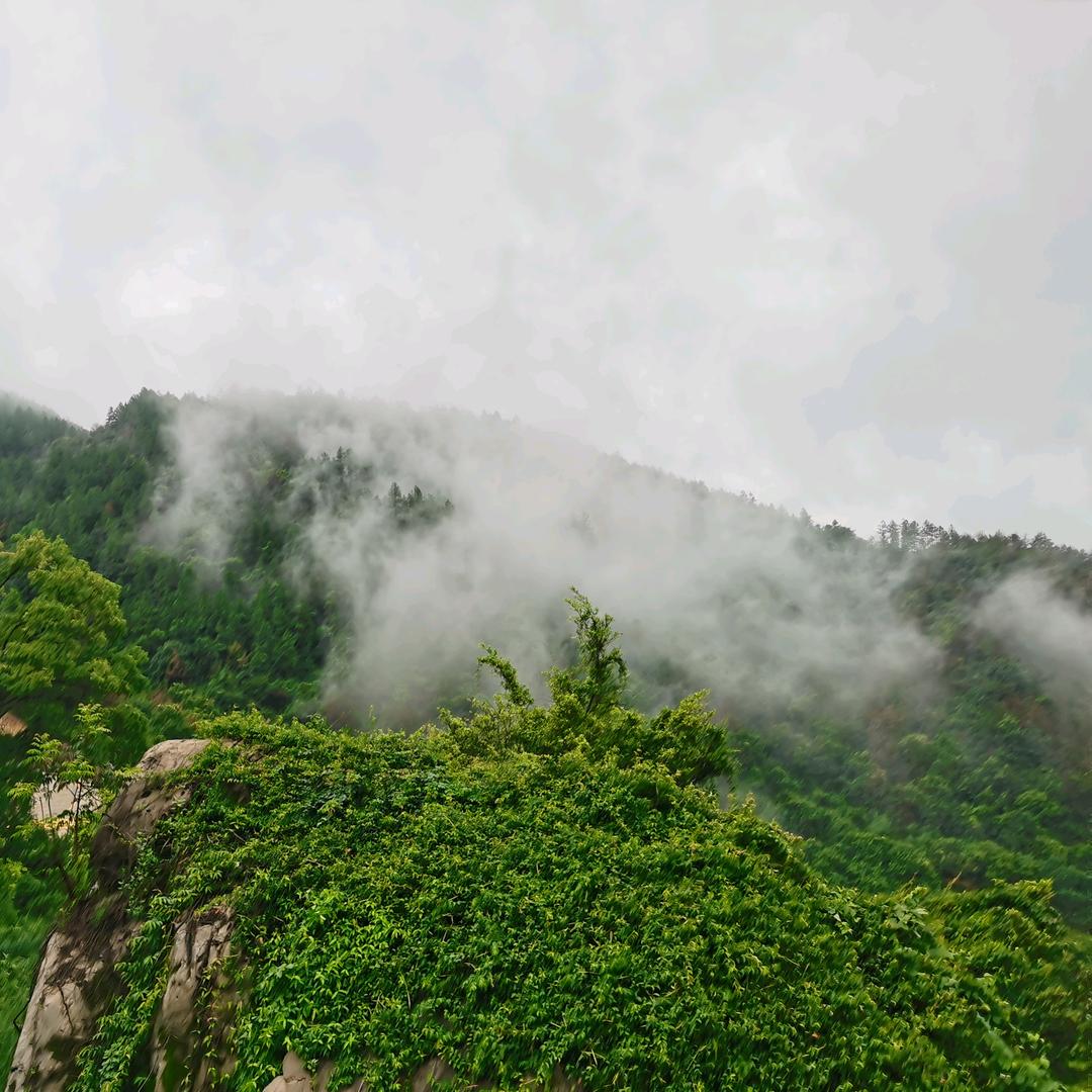 瑞坤堂