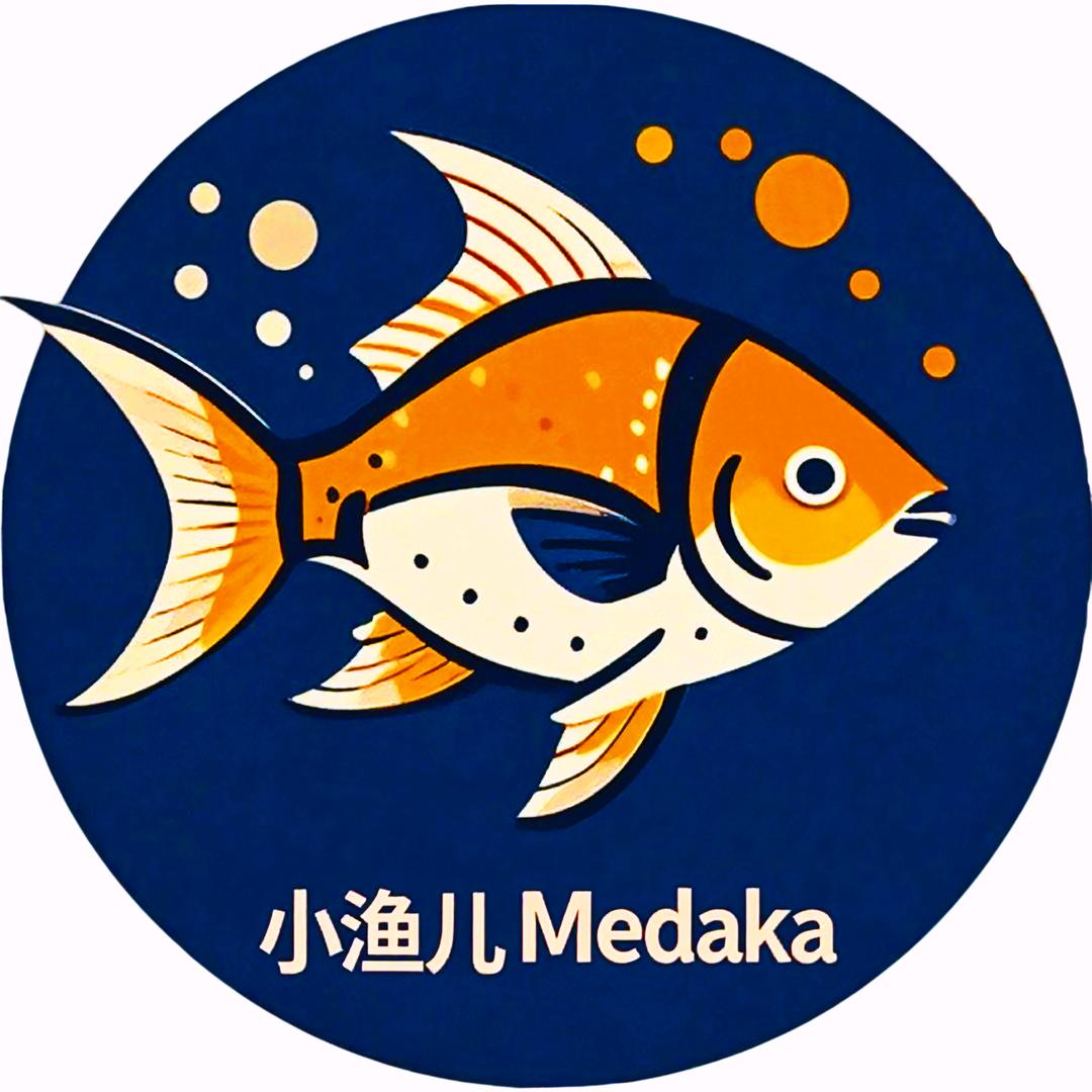 小渔儿Medaka