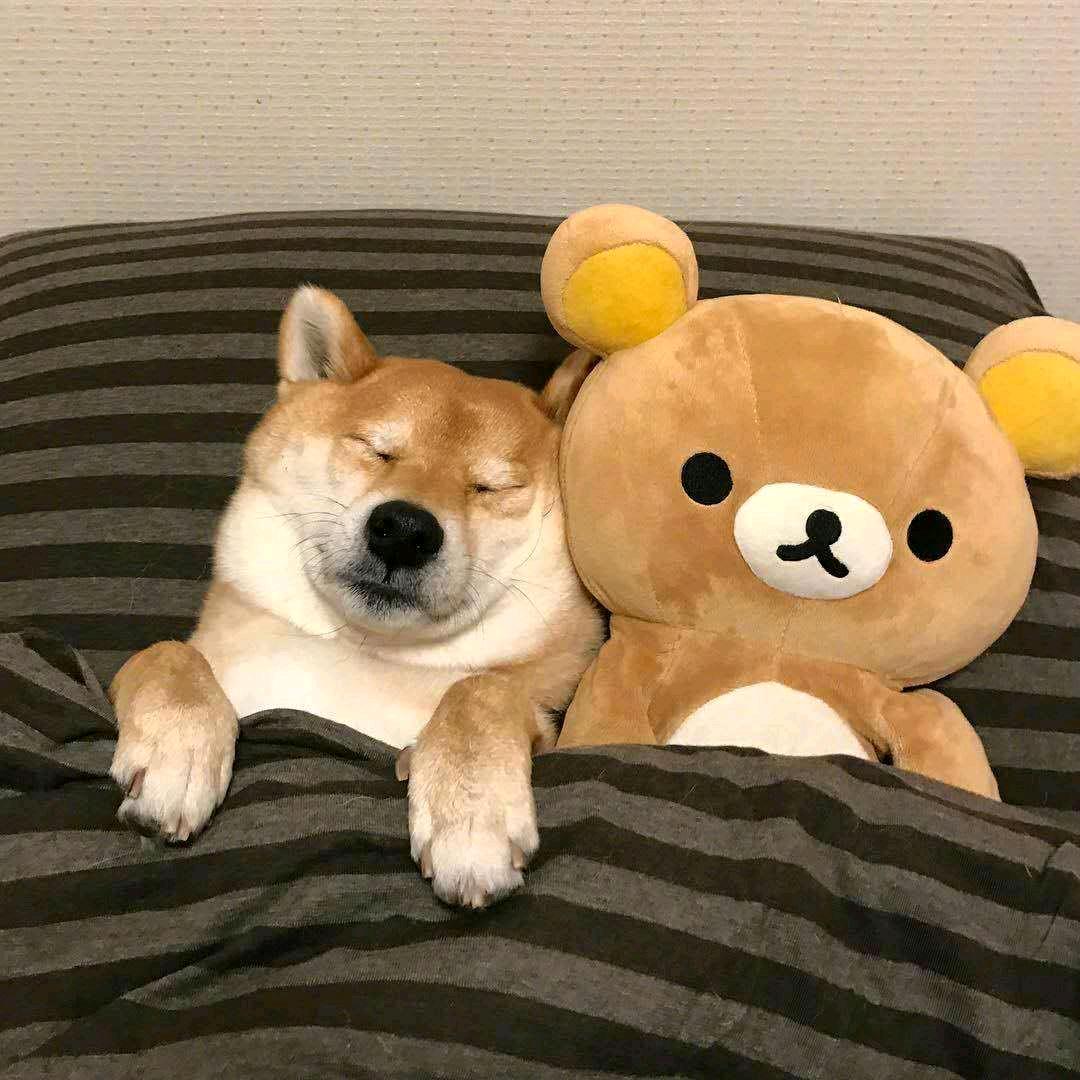 大吕子