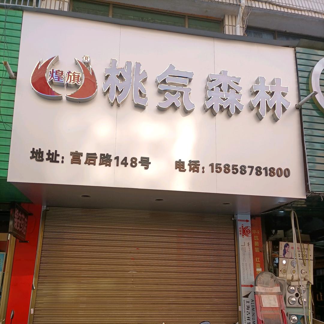 桃気森林官方号