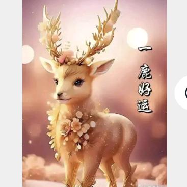一鹿好运