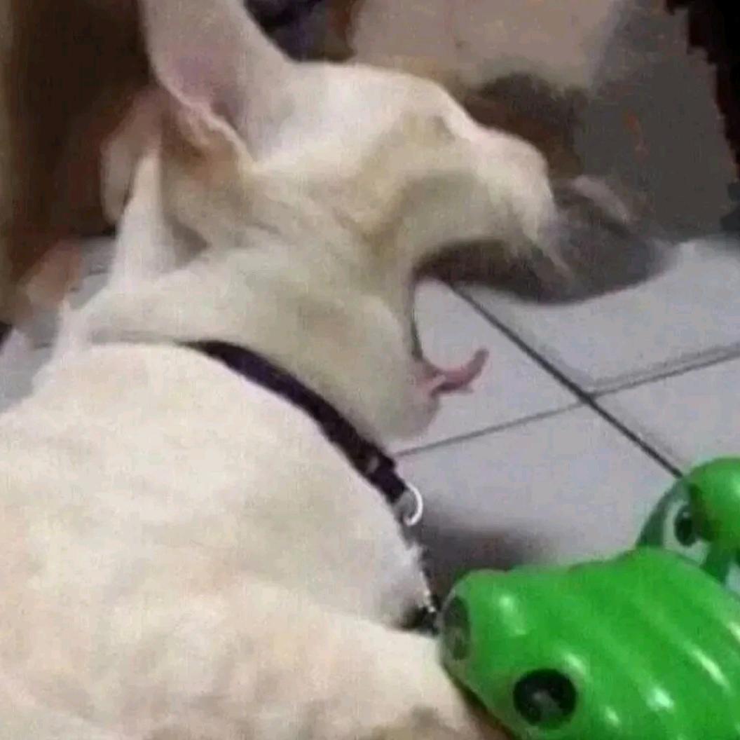 嘴巴你别再吃了(已婚版)