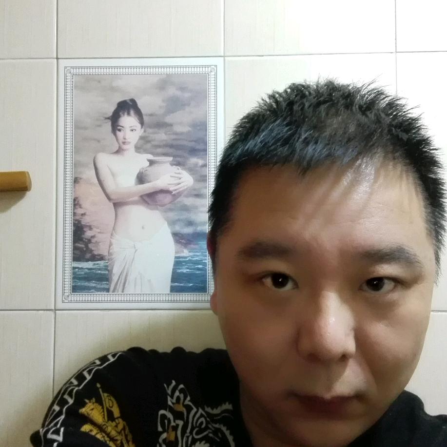 冰河在树梢