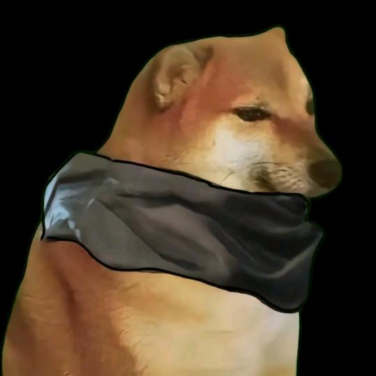 企鹅不是穿越。