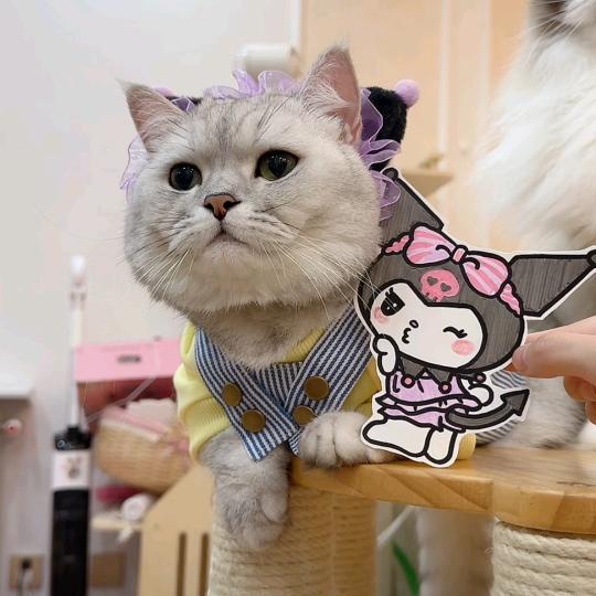 小惡魔娟娟子🐱🐰💕❤️