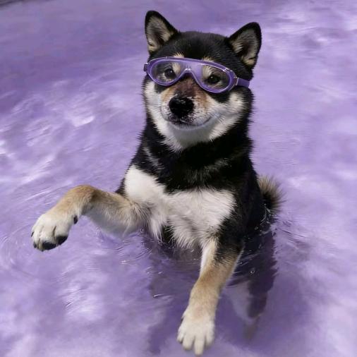 天真的葡萄1🍇