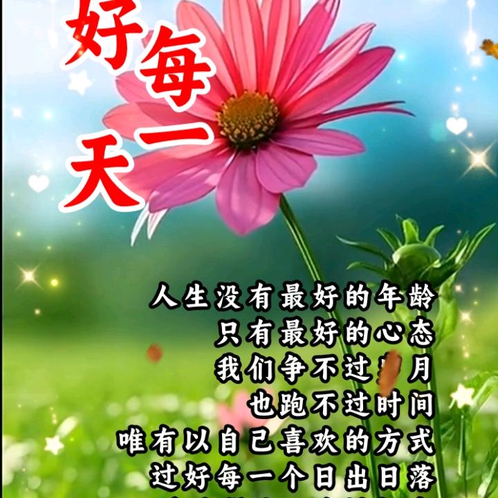 用户9087564532827