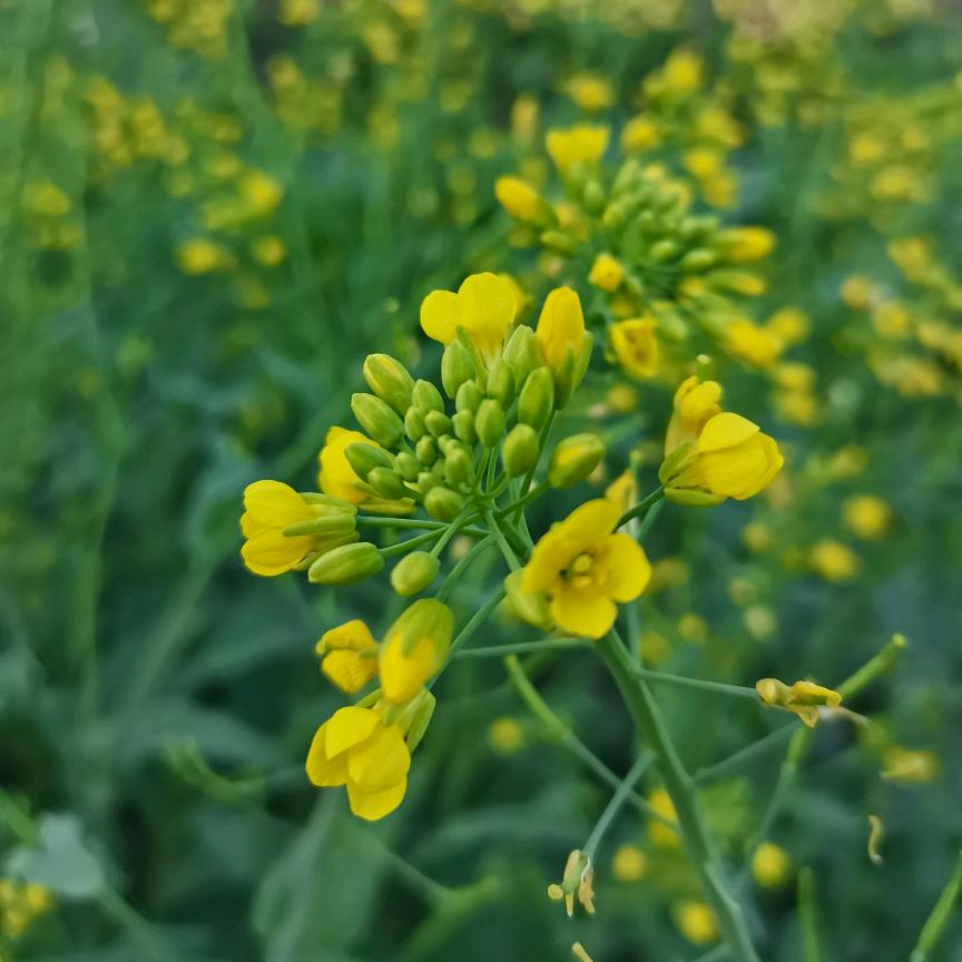 美好瞬间662888381499