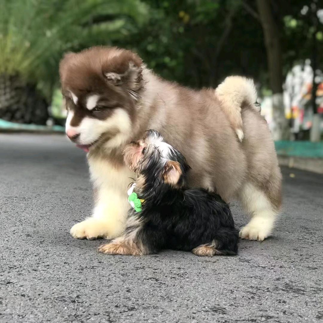 苦中作乐👻