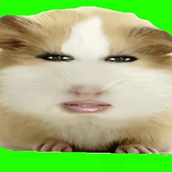 仙女下凡