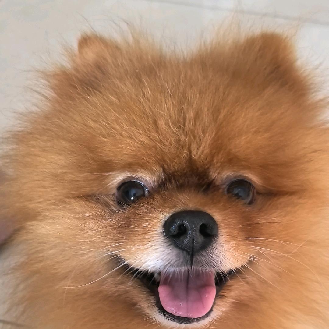 观影之嘉